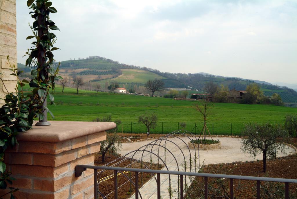 Ripa Agriturismo Casale Le Selvette المظهر الخارجي الصورة