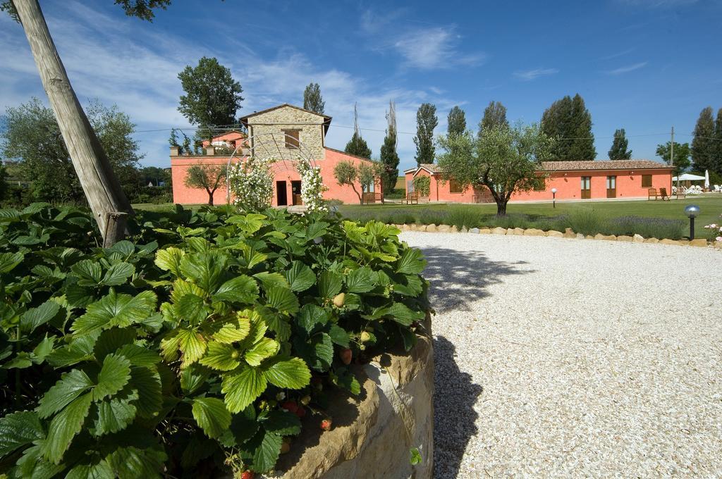 Ripa Agriturismo Casale Le Selvette المظهر الخارجي الصورة