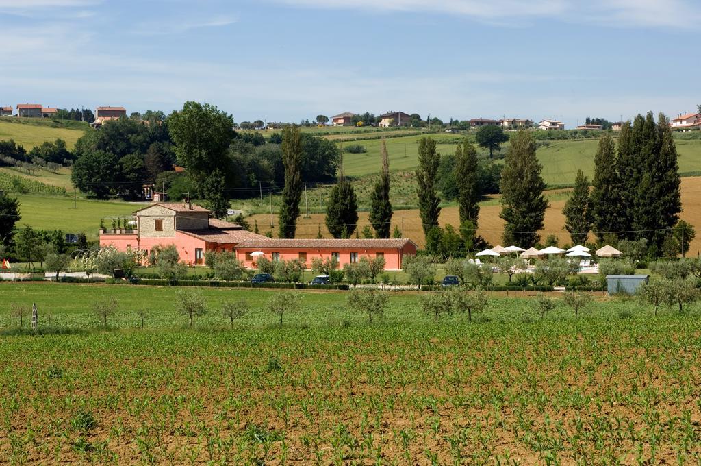 Ripa Agriturismo Casale Le Selvette المظهر الخارجي الصورة