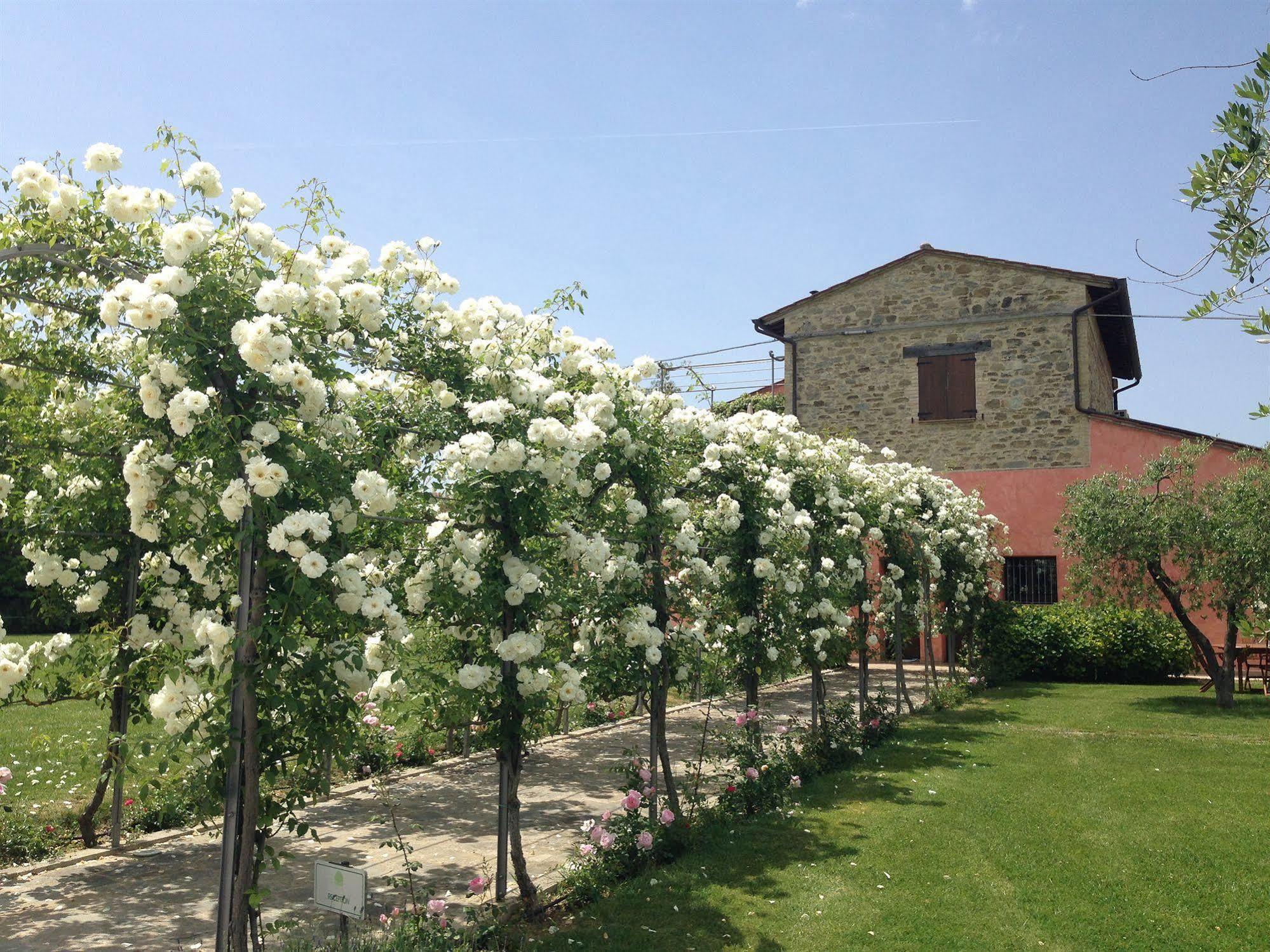 Ripa Agriturismo Casale Le Selvette المظهر الخارجي الصورة