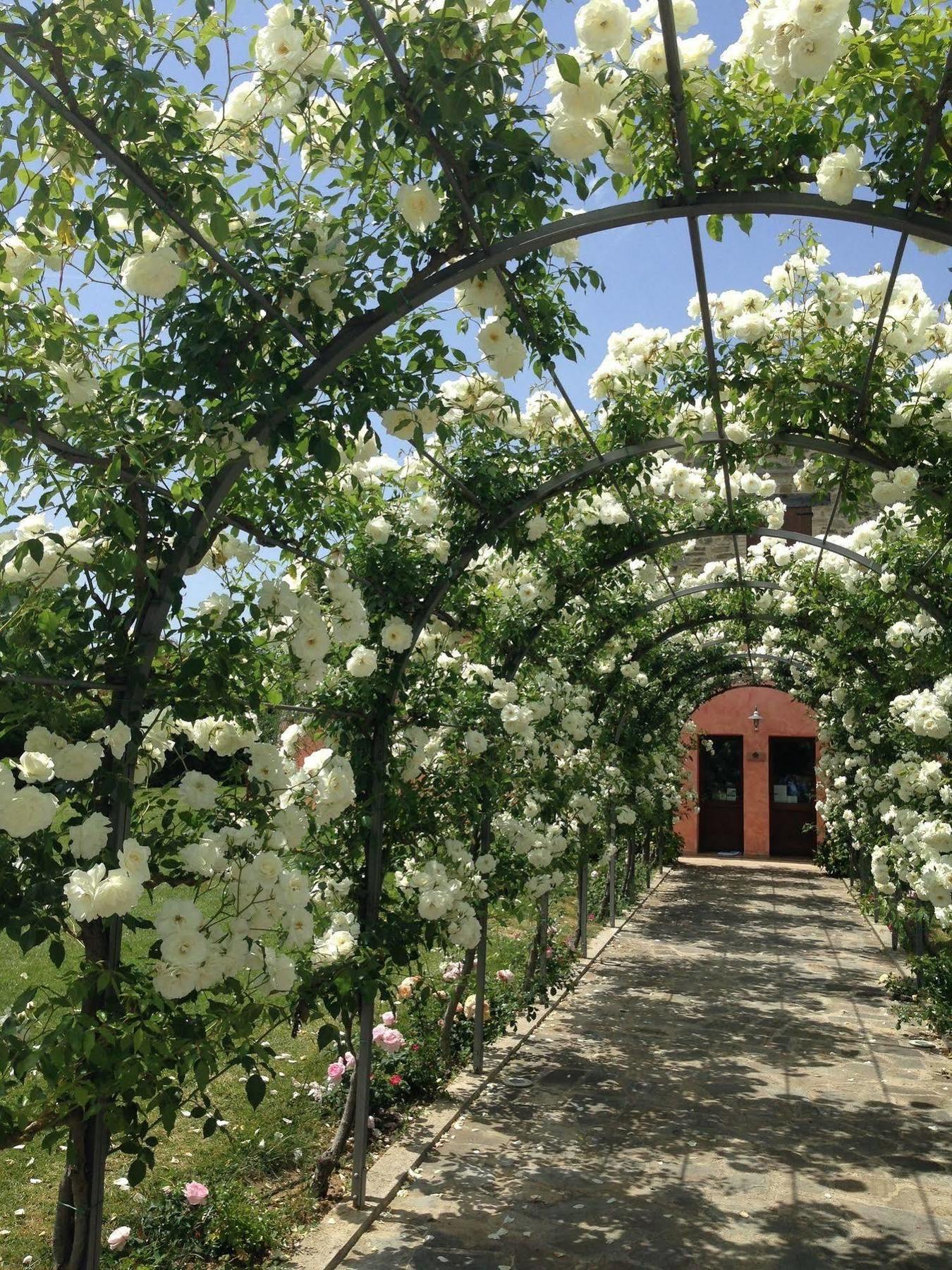 Ripa Agriturismo Casale Le Selvette المظهر الخارجي الصورة